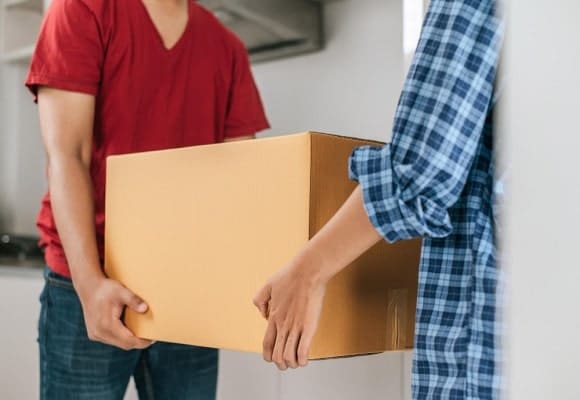 Professional Movers Services