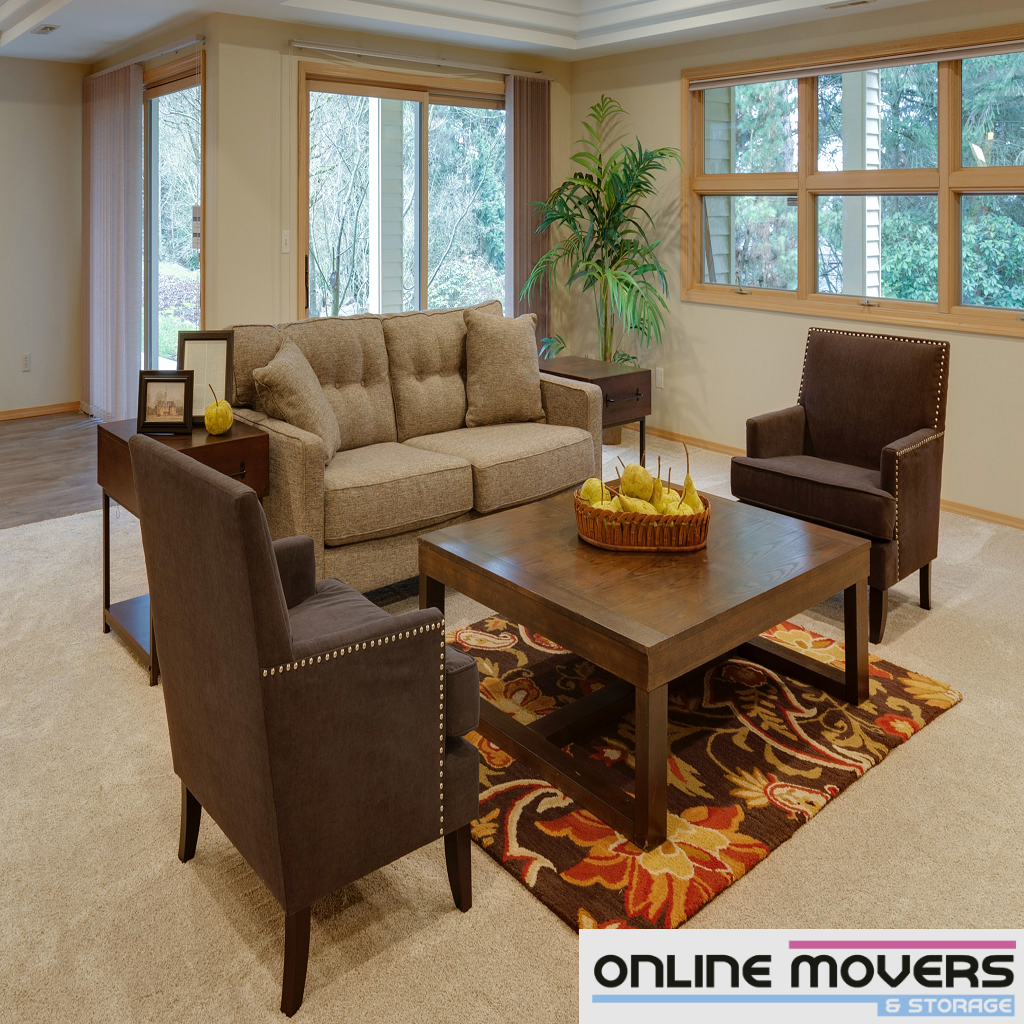 Right Furniture Mover for Your Needs