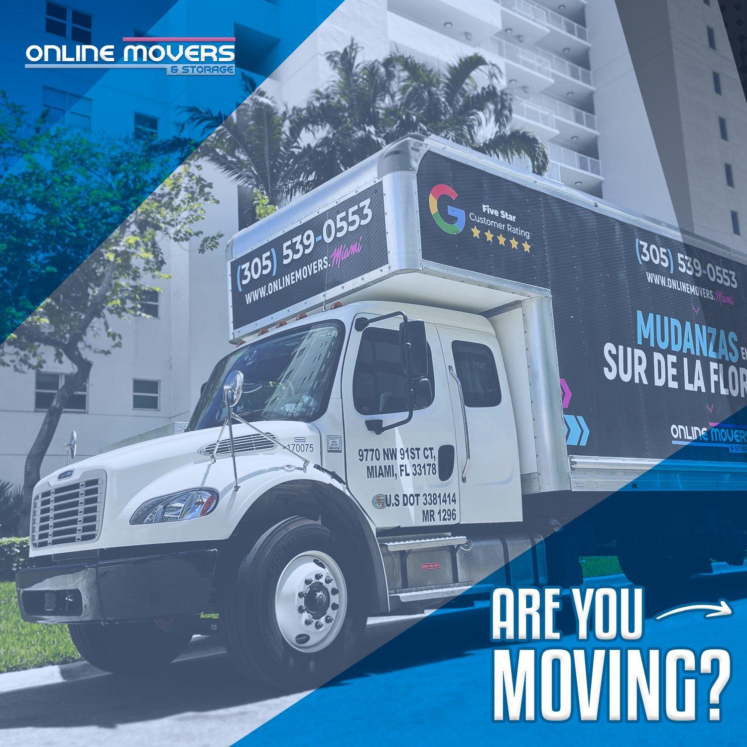 Professional Movers Service